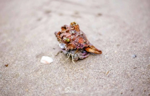 นายกฯหนังไทย หวั่น "ระยองโมเดล" จะให้กองถ่ายต่างชาติเข้ามา