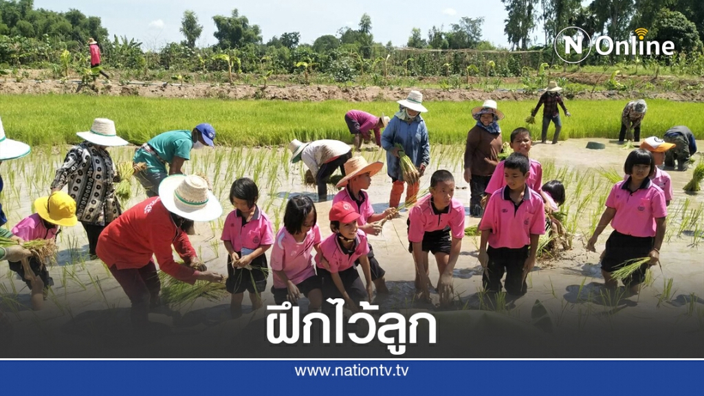 เด็กรุ่นใหม่เรียนรู้วิถีเกษตร เด็กรุ่นใหม่เรียนรู้วิถีเกษตร