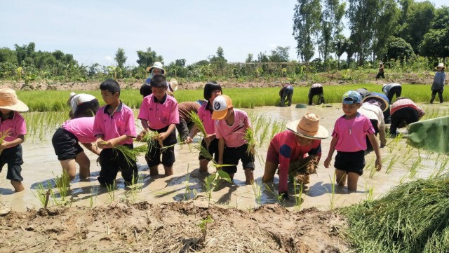 เด็กรุ่นใหม่เรียนรู้วิถีเกษตร