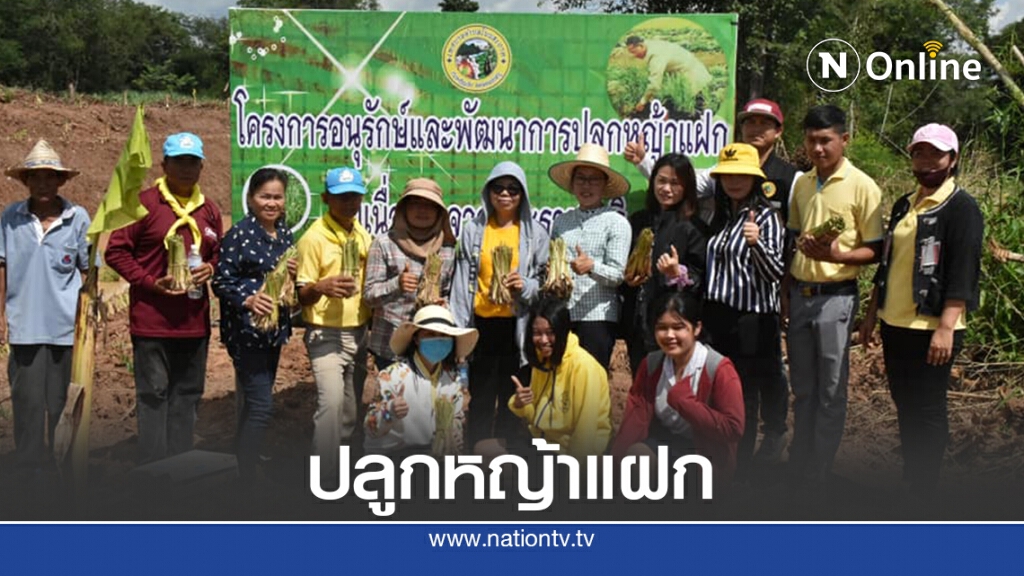 ทต.โนนสะอาด อนุรักษ์พัฒนาการปลูกหญ้าแฝกอันเนื่องมาจากพระราชดำริฯ ทต.โนนสะอาด อนุรักษ์พัฒนาการปลูกหญ้าแฝกอันเนื่องมาจากพระราชดำริฯ