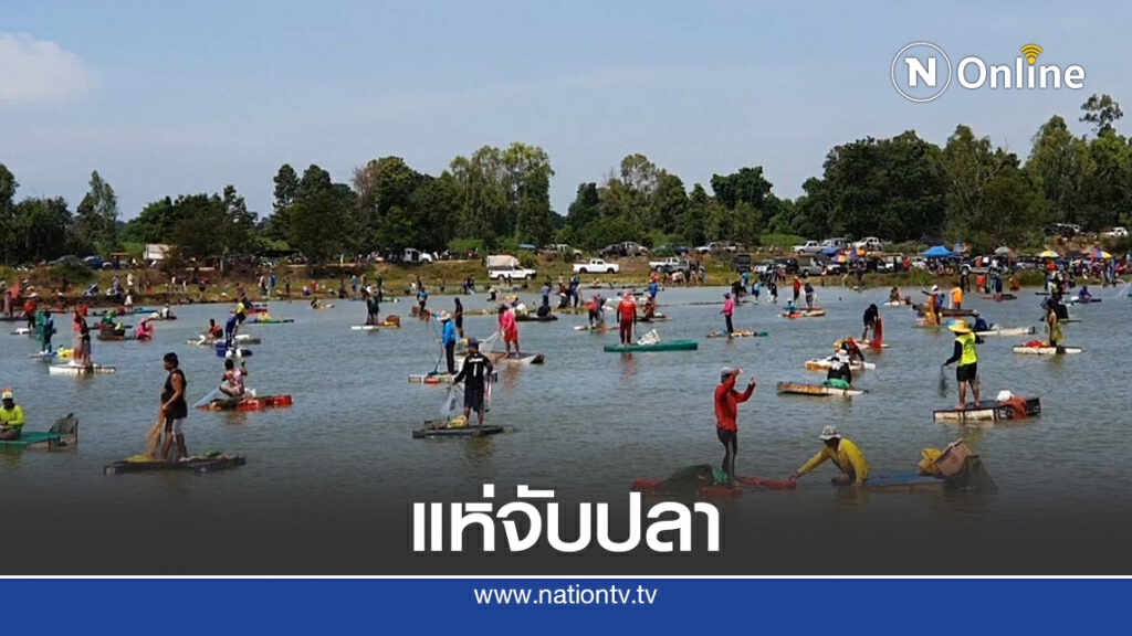สีสันบ้านทุ่ง ชาวบ้านนับพันแห่ซื้อบัตรลงแขกจับปลา
