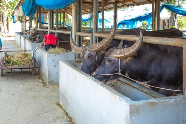 สุขใจพาเช็คอินสุพรรณ...ชาตินี้ต้องม๋า