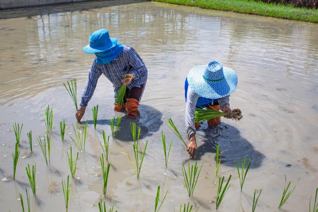 สุขใจพาเช็คอินสุพรรณ...ชาตินี้ต้องม๋า