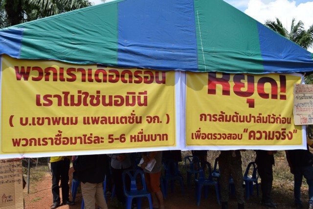 ชาวบ้านขอความเห็นใจ หลังสปก. เตรียมรื้อถอนต้นปาล์ม 900 ไร่