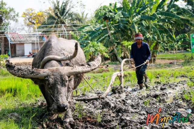 สุขใจพาเช็คอินสุพรรณ...ชาตินี้ต้องม๋า