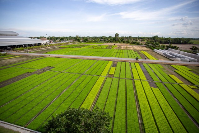 สุขใจพาเช็คอินสุพรรณ...ชาตินี้ต้องม๋า