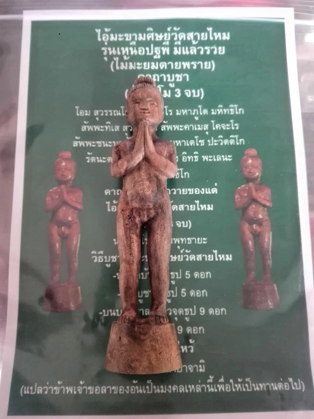 เจ้าอาวาสวัดสายไหม เปิดตำนาน "ไอ้มะขาม" เตรียมสร้างวัดสายไหมแห่งที่ 2 อ.ท่าเรือ จ.พระนครศรีอยุธยา