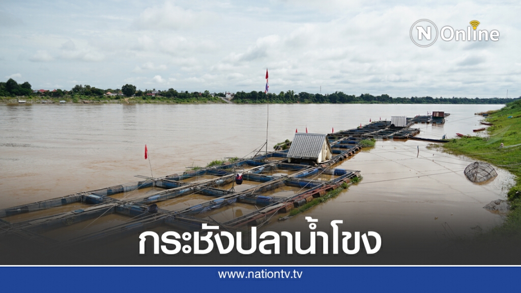 น้ำโขงขึ้นลงฉับพลันเตือนดูแลกระชังปลาอย่างใกล้ชิด