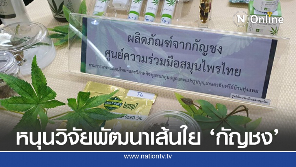 อุตฯ ดัน 'กัญชง' ขึ้นแท่นพืชเศรษฐกิจ