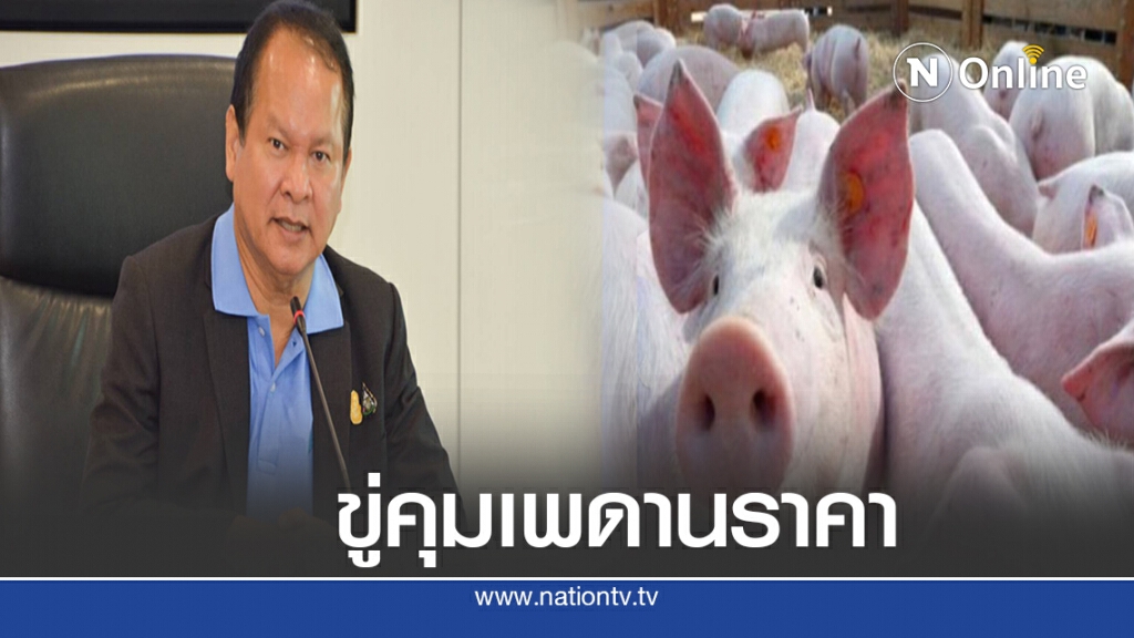 พาณิชย์เล็งใช้ยาแรงแก้ขายหมูแพง
