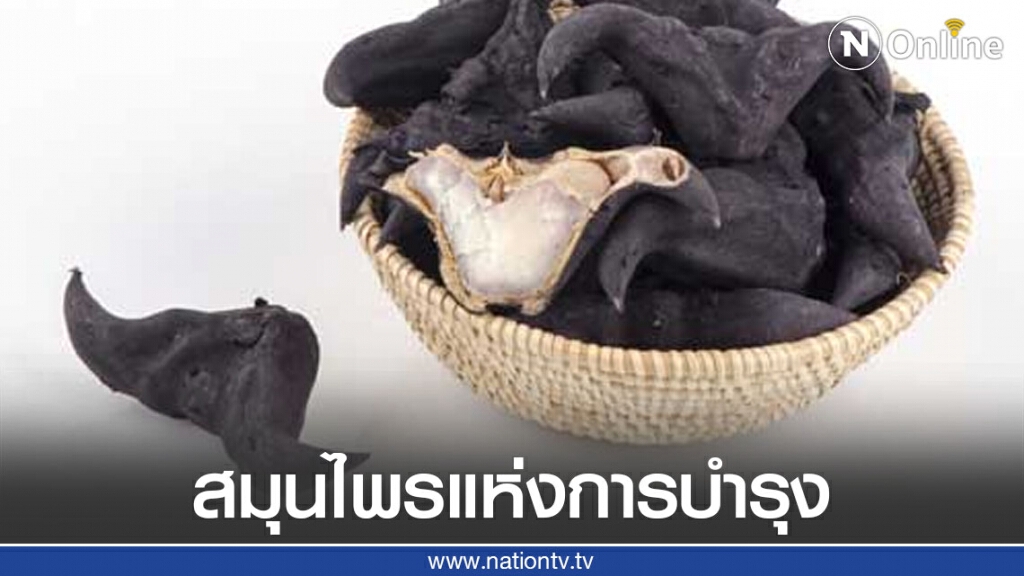 "กระจับ" สมุนไพรแห่งการบำรุงทุกเพศทุกวัย "กระจับ" สมุนไพรแห่งการบำรุงทุกเพศทุกวัย