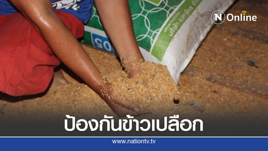 เรียกร้องภาครัฐเข้มป้องกันข้าวเพื่อนบ้านทะลักเข้าไทย