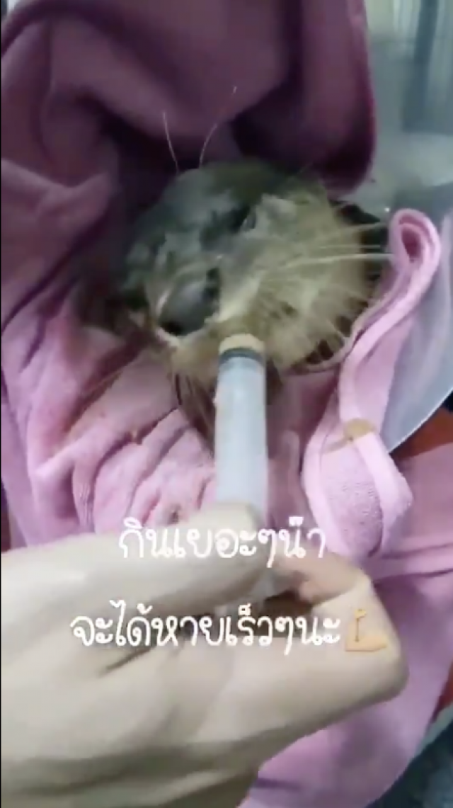‘ไบร์ท วชิรวิชญ์’เข้าเยี่ยม'น้องทวีธา'นากถูกรถชน