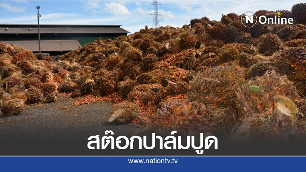 ชาวสวนปาล์มคาใจ! สต๊อกปาล์มปูด ห่วงลักลอบ