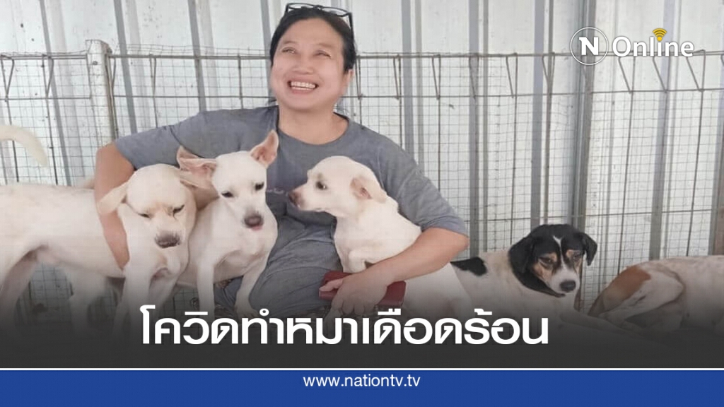 ยุคโควิด - 19 สุนัขโดนทิ้งเกลื่อน ยุคโควิด - 19 สุนัขโดนทิ้งเกลื่อน