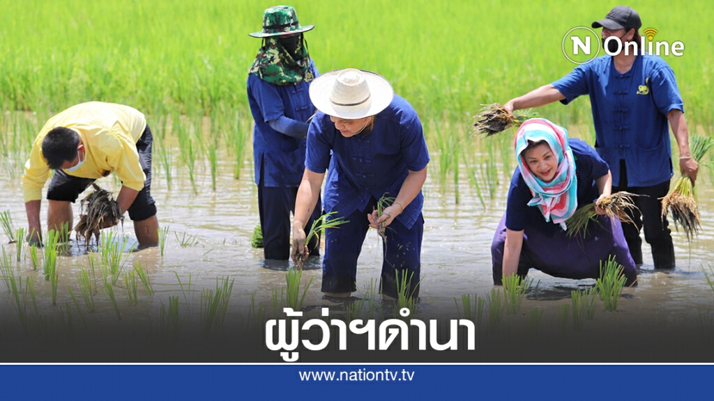 น้ำเต็มนา ผู้ว่าพาดำ นำชุมชนพอเพียง เลี้ยงชีวิตสู้โควิด-19 น้ำเต็มนา ผู้ว่าพาดำ นำชุมชนพอเพียง เลี้ยงชีวิตสู้โควิด-19