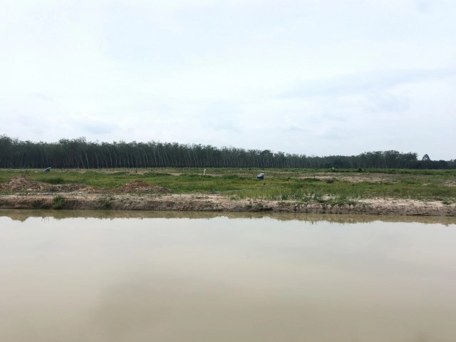 เปิดใจ นักธุรกิจหมื่นล้าน ปั้น"สะเดาเมืองทุเรียน"