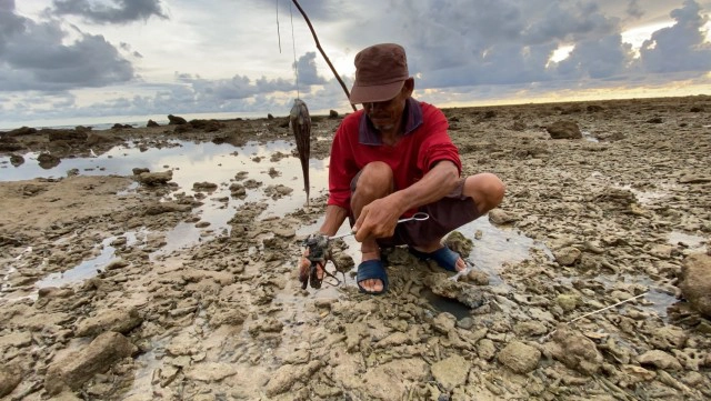 วิถีชีวิตริมทะเล "ล่าตัวโวยวาย" กินในครัวเรือนเหลือขาย