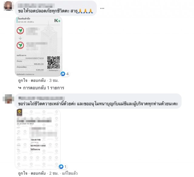 พลังบุญช่วย แม่ชี ไถ่ชีวิตควายศรีนครินทร์ 6 ตัว หนีพ้นโรงเชือด