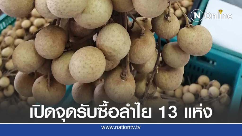 พาณิชย์ลำพูนเปิดจุดรับซื้อลำไยช่วยเกษตรกร
