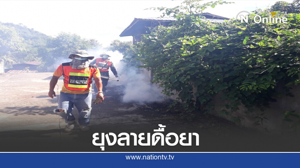 ไข้เลือดออกระบาดหนักพบยุงลายดื้อยา