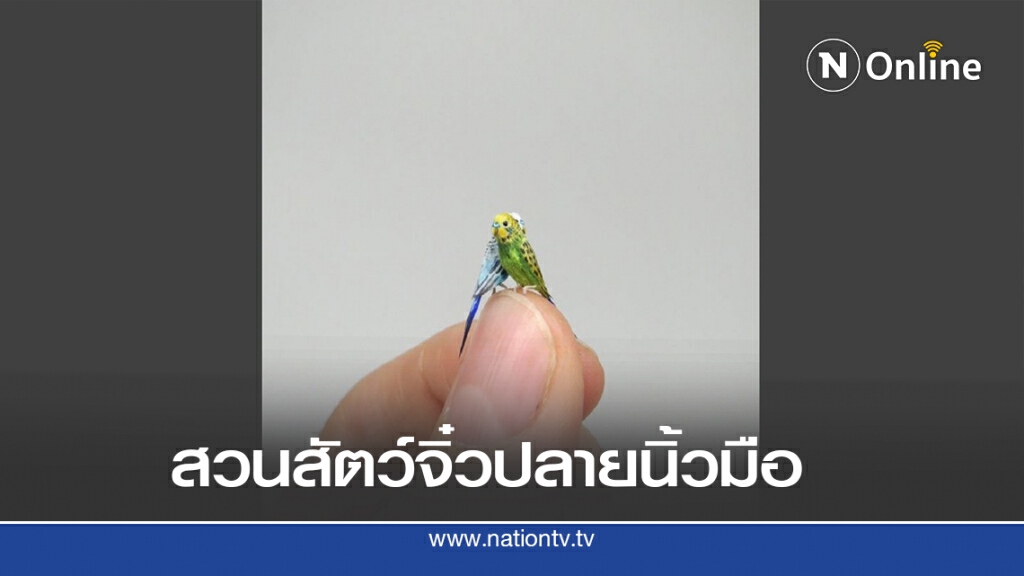 สาวฮังการีกับสวนสัตว์จิ๋ว สาวฮังการีกับสวนสัตว์จิ๋ว