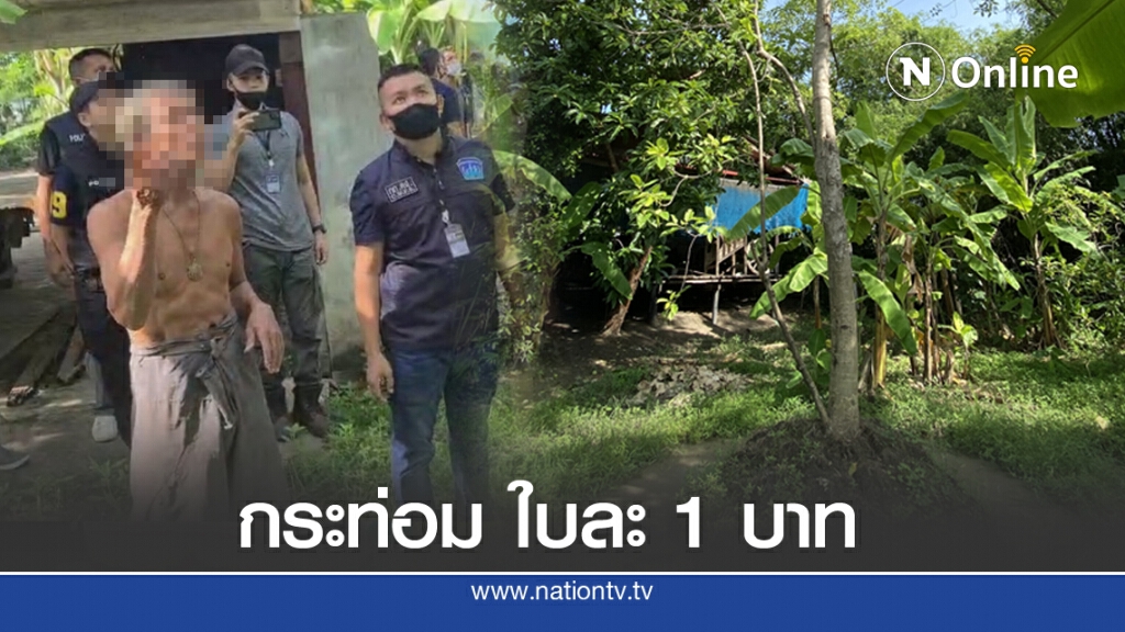 เฒ่าลาดกระบัง ลอบปลูกต้นกระท่อม เด็ดใบขาย 7 ปี