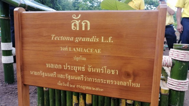 อารักขาเข้ม รับนายกฯ-ครม.ปลูกป่า