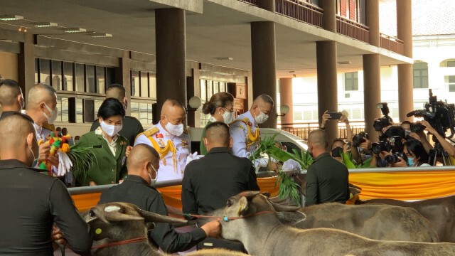 ผบ.ทบ.ขอทุกคนสำนึกในพระมหากรุณาธิคุณในหลวง-ราชวงศ์จักรี