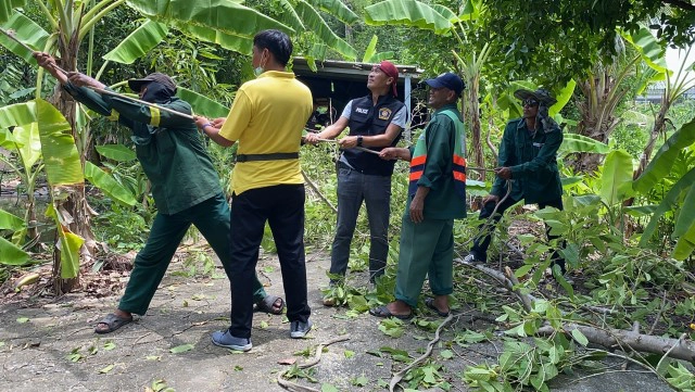 เฒ่าลาดกระบัง ลอบปลูกต้นกระท่อม เด็ดใบขาย 7 ปี