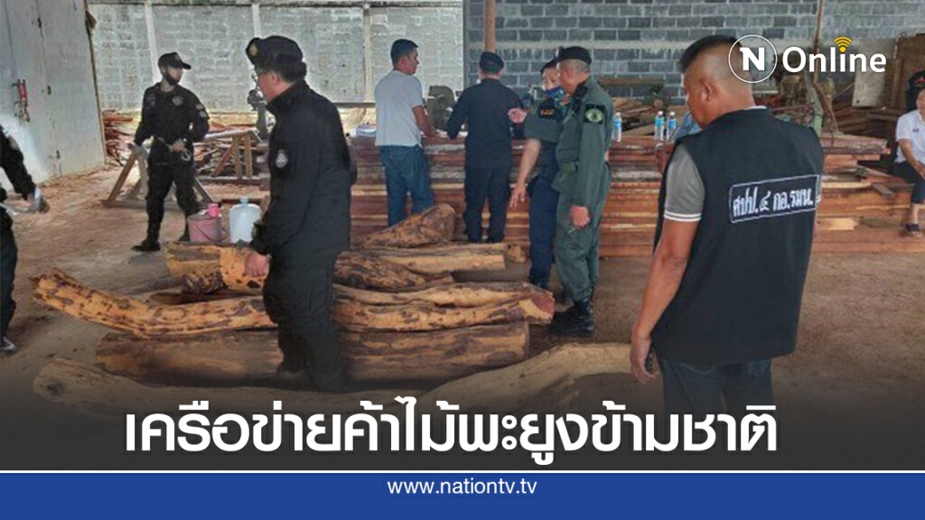 ตรวจโรงเลื่อยเครือข่ายค้าไม้พะยูงข้ามชาติ