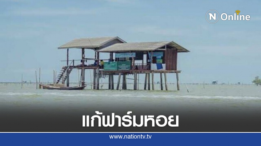 "บิ๊กป้อม"สั่งหาข้อยุติฟาร์มหอยสุราษฎร์ธานี "บิ๊กป้อม"สั่งหาข้อยุติฟาร์มหอยสุราษฎร์ธานี
