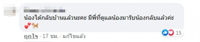 หนุ่มส่งอาหารเป็นงง เจอน้องหมากระโดดขึ้นรถไม่ยอมลง เหมือนมองหาแต่เจ้าของ