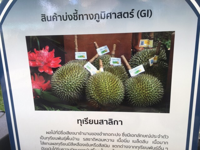 พาณิชย์เสริมแกร่งเกษตรกรลุยตลาดต่างประเทศ