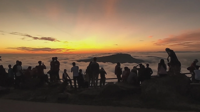 ชมความงามหมอกหนาบนผามออีแดง