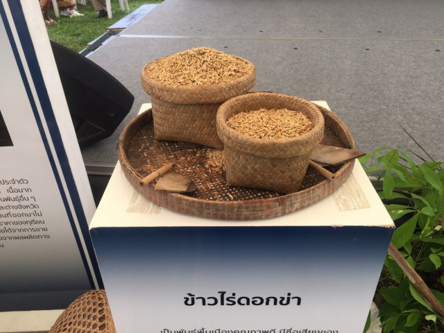 พาณิชย์เสริมแกร่งเกษตรกรลุยตลาดต่างประเทศ