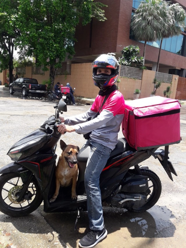 หนุ่มส่งอาหารเป็นงง เจอน้องหมากระโดดขึ้นรถไม่ยอมลง เหมือนมองหาแต่เจ้าของ