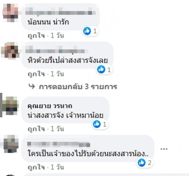 หนุ่มส่งอาหารเป็นงง เจอน้องหมากระโดดขึ้นรถไม่ยอมลง เหมือนมองหาแต่เจ้าของ