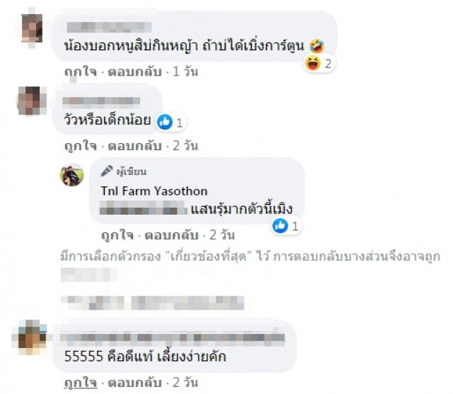 เอ็นดูวัวยุค 5G นอนดูการ์ตูนสบายใจเฉิบ