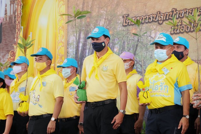 "กรมทะเล"จับมือ"จ.ภูเก็ต" ร่วมปลูกป่าชายเลน เฉลิมพระเกียรติฯ ร.10