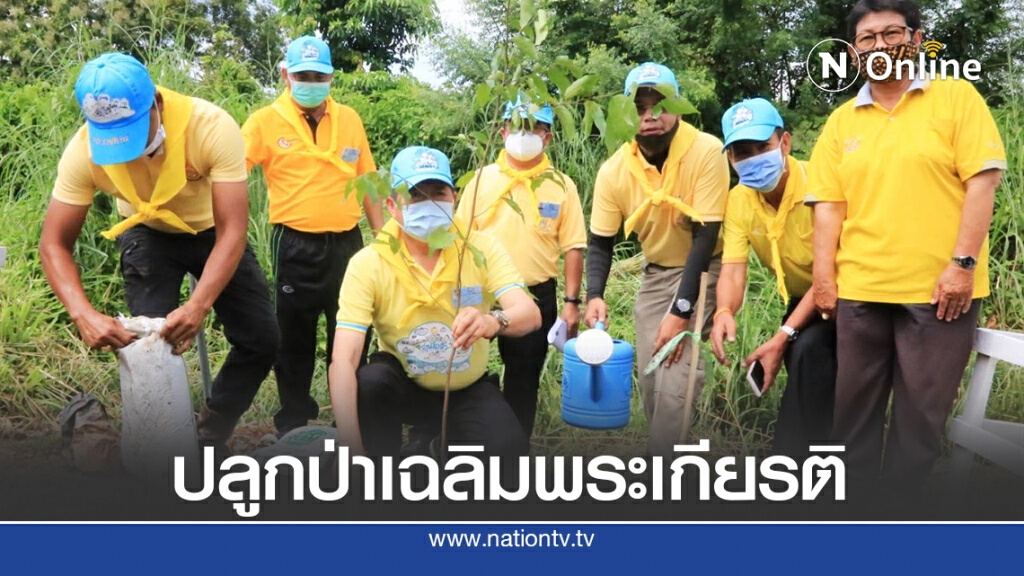 ปลูกต้นตะเคียนทองเฉลิมพระเกียติ ปลูกต้นตะเคียนทองเฉลิมพระเกียติ