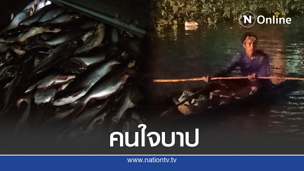ชาวบ้านทนไม่ไหว เจอคนใจบาป ล่องเรือไฟช็อตปลาหากินบริเวณวัด