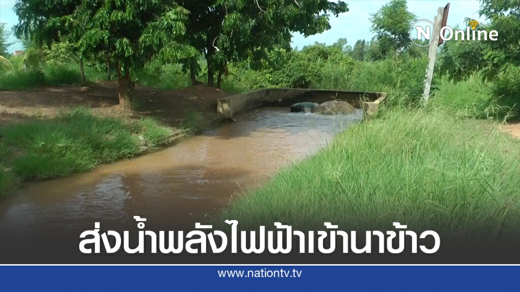 สูบน้ำคลองส่งน้ำพลังไฟฟ้าช่วยนาข้าวกว่า1,000ไร่ สูบน้ำคลองส่งน้ำพลังไฟฟ้าช่วยนาข้าวกว่า1,000ไร่