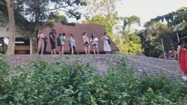 นทท.แห่เที่ยวเขาใหญ่- วังน้ำเขียว รถติดยาว