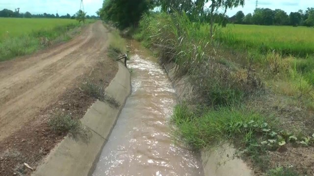 สูบน้ำคลองส่งน้ำพลังไฟฟ้าช่วยนาข้าวกว่า1,000ไร่