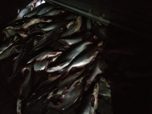 ชาวบ้านทนไม่ไหว เจอคนใจบาป ล่องเรือไฟช็อตปลาหากินบริเวณวัด