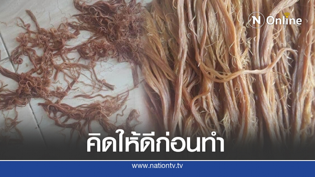 อุทาหรณ์ ผมสลวยกลายเป็นหมูฝอย ดูดีๆไม่ใช่ร้านไหนถูกวิ่งไปทำ อุทาหรณ์ ผมสลวยกลายเป็นหมูฝอย ดูดีๆไม่ใช่ร้านไหนถูกวิ่งไปทำ