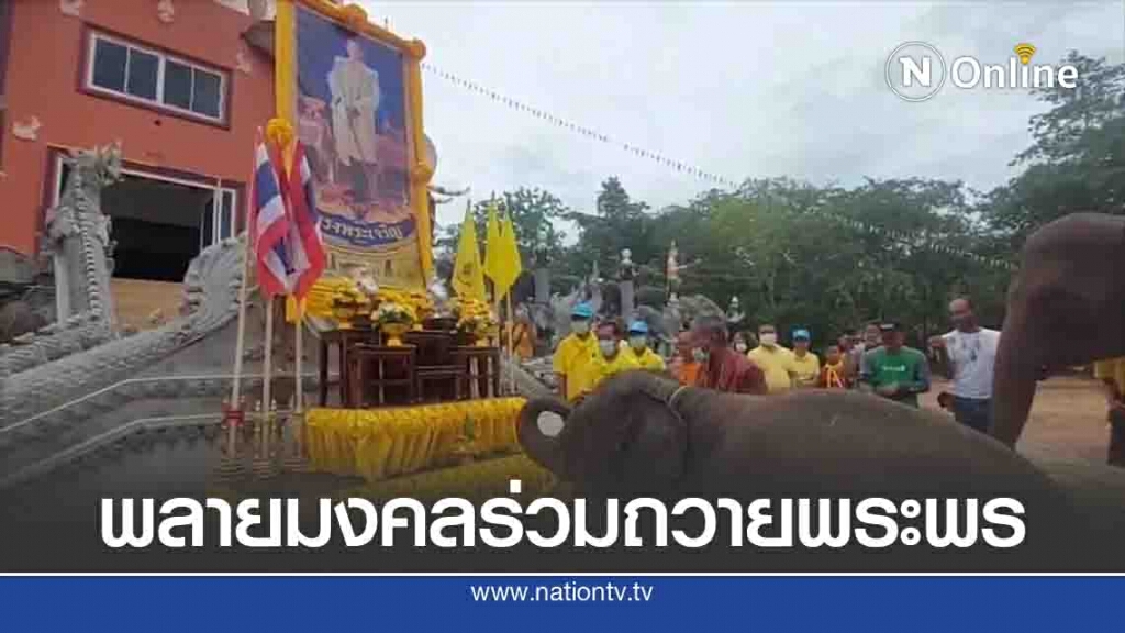 ช้างพลายมงคลร่วมเปิดกรวยถวายพระพร ในหลวง รัชกาลที่ 10 ช้างพลายมงคลร่วมเปิดกรวยถวายพระพร ในหลวง รัชกาลที่ 10