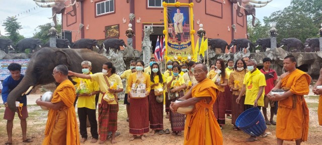 ช้างพลายมงคลร่วมเปิดกรวยถวายพระพร ในหลวง รัชกาลที่ 10