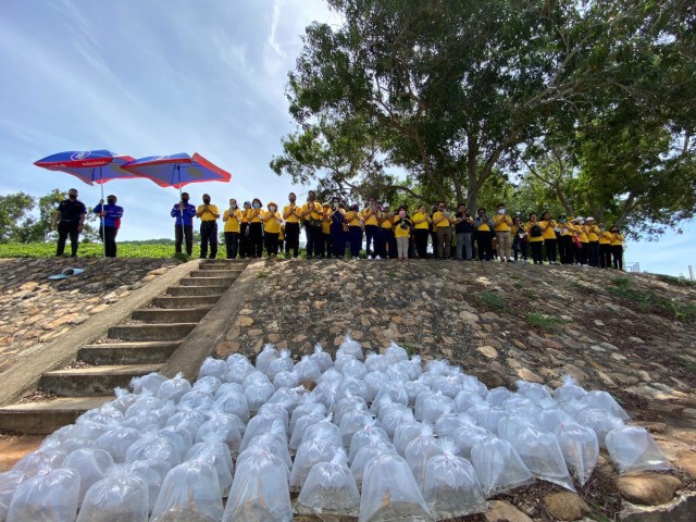 ทิพยประกันภัย จัดโครงการ พลังบุญทิพยร่วมสร้าง ครั้งที่ 159  ปล่อยพันธุ์ปลาและปูม้า